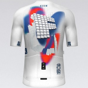 Heren Fietskleding Gobik Factory Team 2025 Cx Pro 4.0-shirt