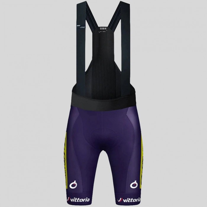 Heren Fietskleding Gobik Wilier Vittoria 2025 Absolute Print K10 Bib Tights