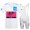 White EF Education Frist Tour De France 2021 Team Fietskleding Fietsshirt Korte Mouw+Korte Fietsbroeken Bib 2021062751