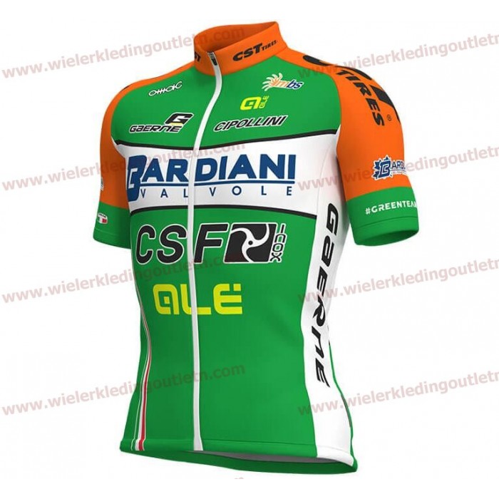 BARDIANI CSF 2018 Wielershirt Korte Mouwen D219 BARDIANI CSF 2018 Wielershirt Korte Mouwen D219